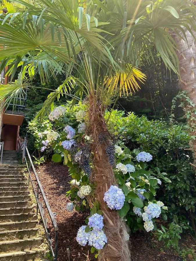 Terrazza Sul Lago Luino Apartment